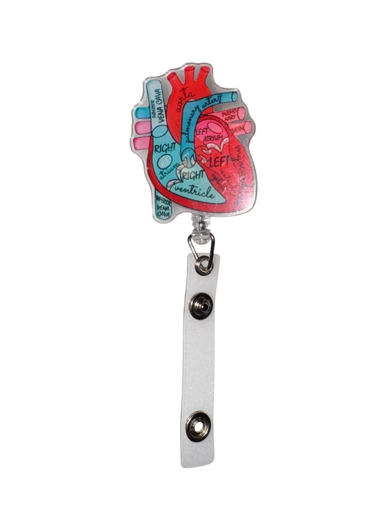 Accessories - Anatomical Heart Badge Reel in Red & Teal